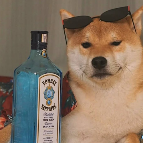 Booz Pup 1